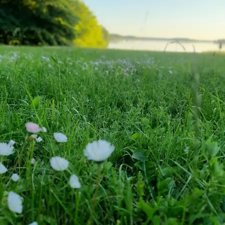 Fuledzki Bialy - Mazury, Jacuzzi, Sauna, Gizycko *