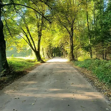 Fuledzki Bialy - Mazury, Jacuzzi, Sauna, Gizycko Fuleda