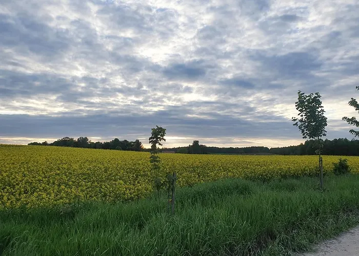 Fuledzki Bialy - Mazury, Jacuzzi, Sauna, Gizycko 度假居 Fuleda